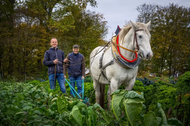 2020 10 26 BauerVerlag 297 768x512
