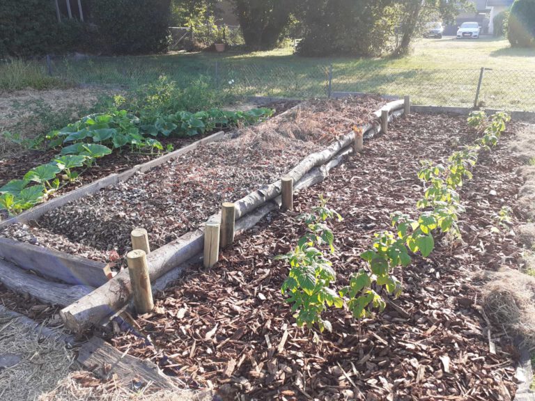 20200808 080529 1 768x576