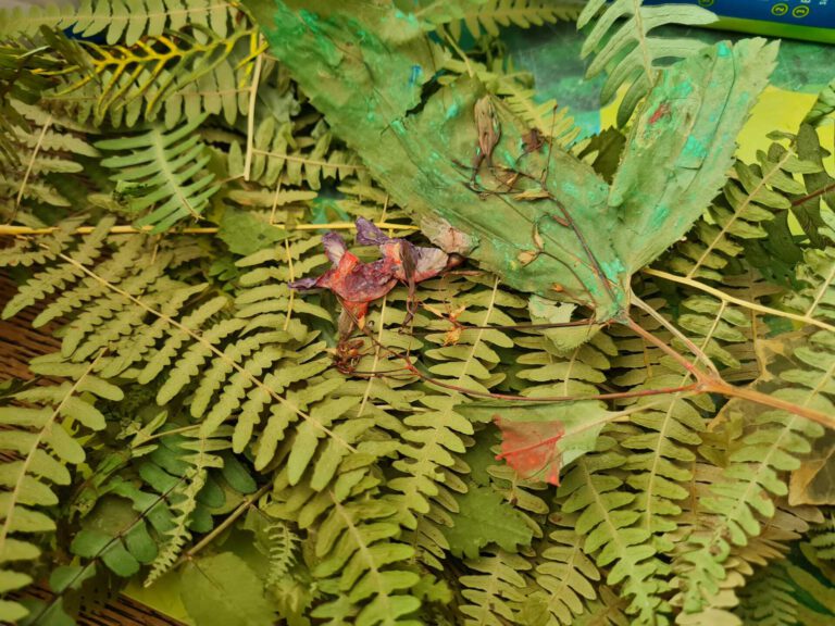 20220728 124229 768x576