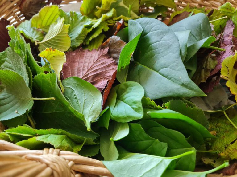 20220728 124233 768x576