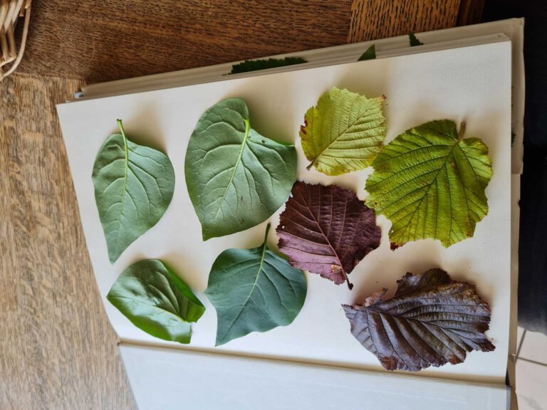 20220728 124957 768x576