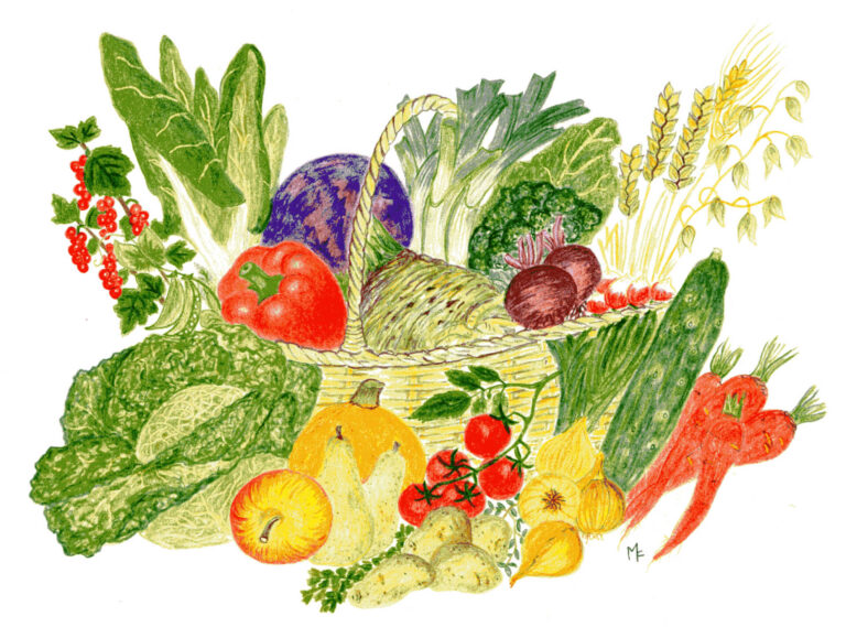 Gemuesekorb Irmgard 768x569