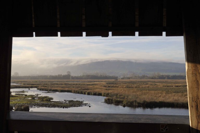 Turmausblick Grosses Torfmoor 768x512