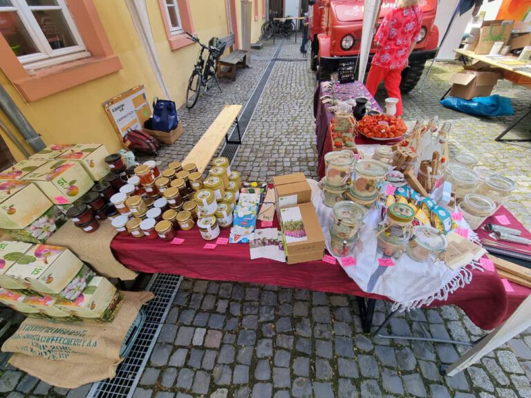 649235c2 da7f 4777 8e17 b6a00f9d0130 768x576