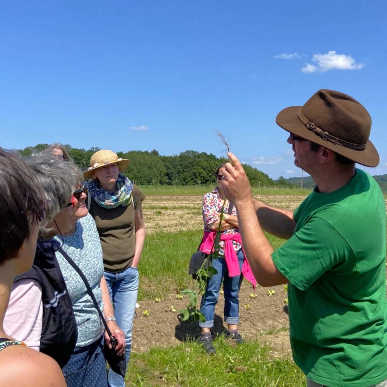 Ackerspaziergang24 1 768x768