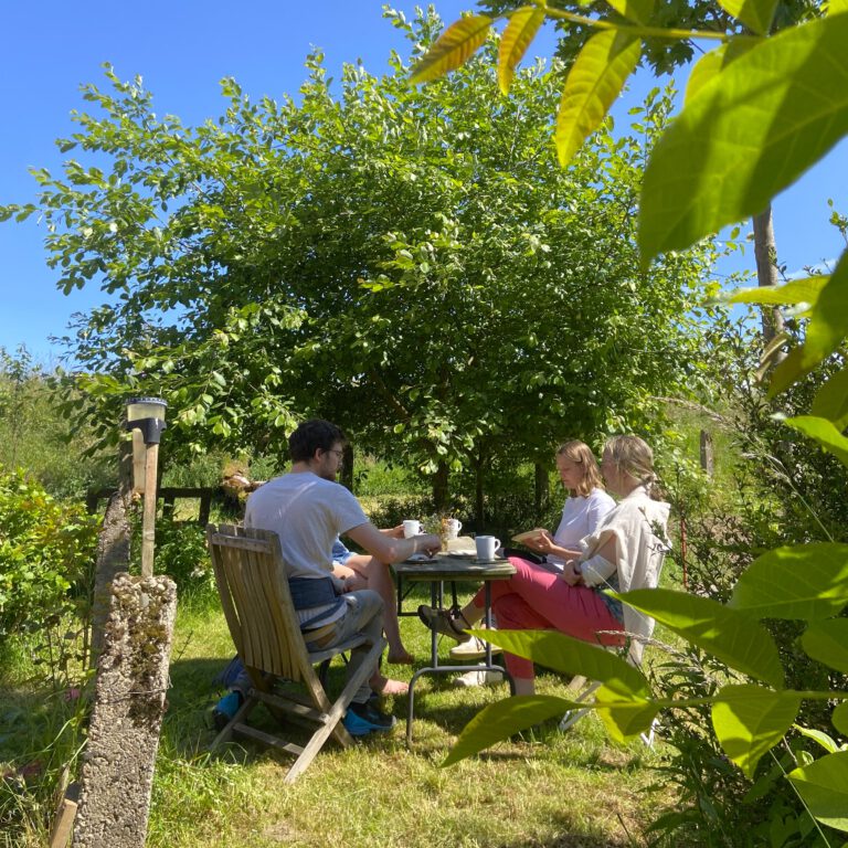 Ackerspaziergang24 3 768x768