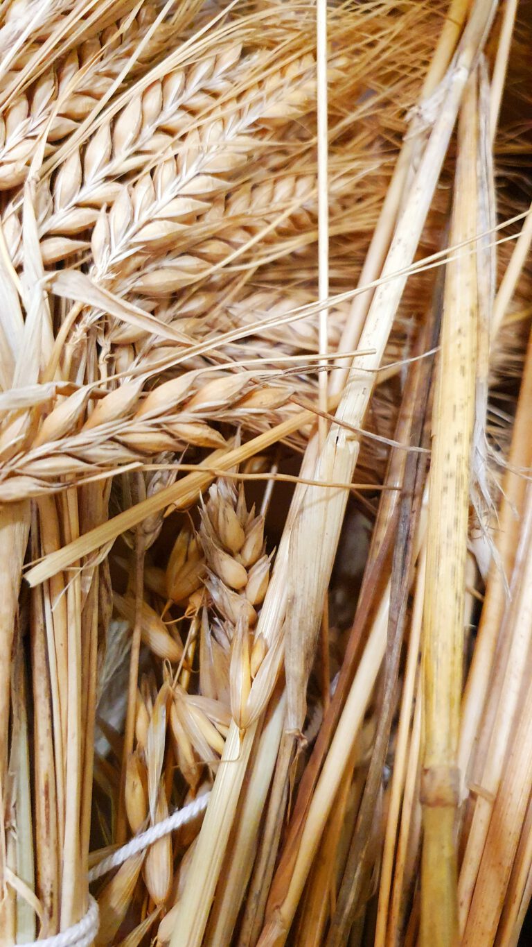 20240513 164523 01 768x1365