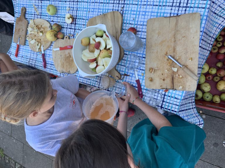 2023 09 24 12 00 11 768x576